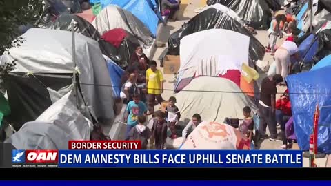 Dem amnesty bills face uphill Senate battle