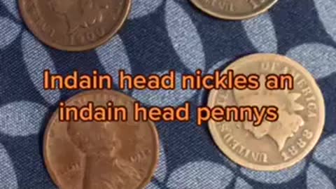 Indian head pennys