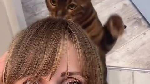 the cat punishes the owner
