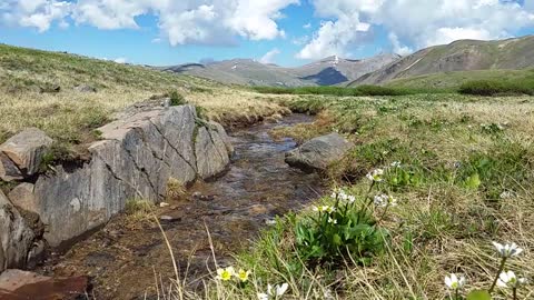 Short video clip of a pristine mountain stream high in the Rockies