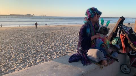 Hippie Hippy Dog Funny Funny Tie Dead Beach Bubbles