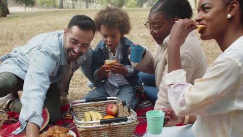 People doing Picnic Together