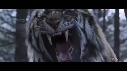 Tiger and Lion Roar | The exceptional roar