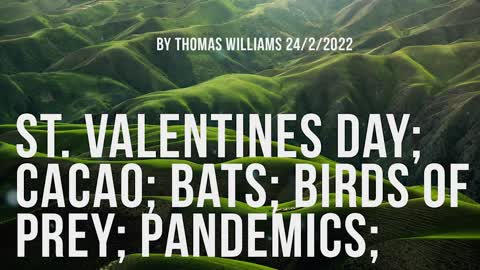 St. Valentines day; Cacao; Bats; Birds of prey; Pandemics;
