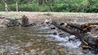 Trickling stream down rocky creek bed