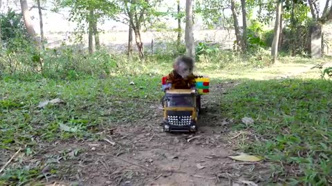 BinBin Monkey Rabbit goes supper truck to pick fruit.mp4