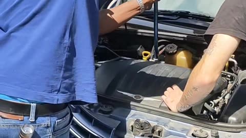Removing a Venomous Snake From a Car Engine