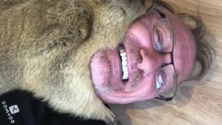 Marmot Cuddles its Man