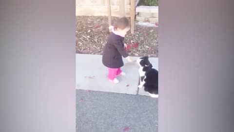 KITTENS VS BABIES