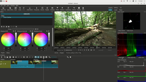 Color Correcting with Shotcut v22