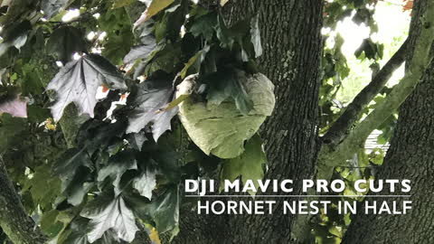 Drone Cuts Hornet Nest In Half