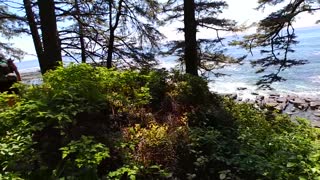 2018 Hike on the West Coast Trail