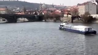 Prague Bridge