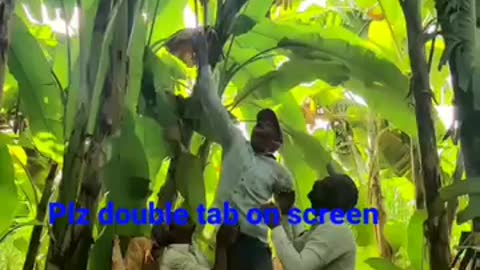 Village _Tour_ with _Abhishak_ very _Hard _Work _pe_ best _video.