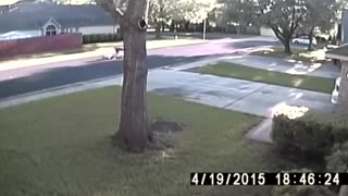 Thieves Caught Stealing