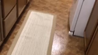 Little girl pajama dress runs into kitchen and falls