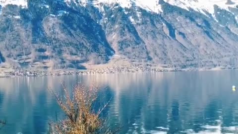 Spiez, superb view of the Alps