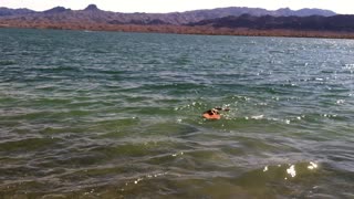 BodyBeach Havasu