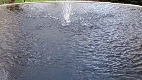 Fountain in slow motion