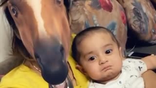 Horse face funny video😁😆
