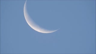 Early Morning Crescent Moon