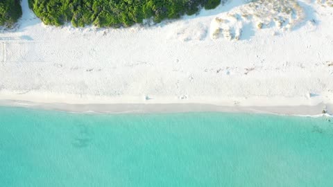 Beach white sand corsica