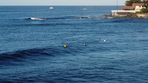 2024-1-14 Makaha Beach Boys 11 & Under QF Heat 1