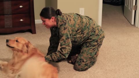 Cute Golden Retriever Welcomes Marine Home