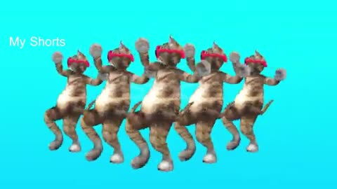 Dancing Pussycat Moves In Blue Environment Funny Dance Short Video