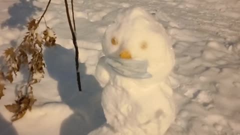 Even a snowman must be wearing a mask!
