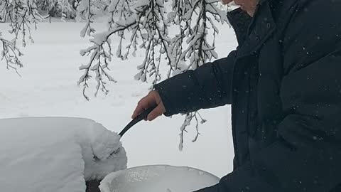 Collecting snow to make snowcones
