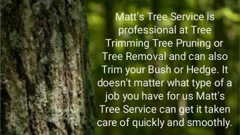 Tree Service