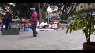 Flautist at Oaxaca City Plaza - LIVE MUSIC