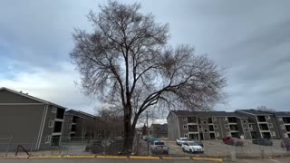 The trees began to be decorated and sprouted again to welcome the spring