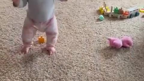 Adorable fluffy cat helps baby take first steps