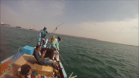 Fishing-Cute Grouper