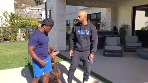 Cali K9 with Kevin Hart and Jason Darulo
