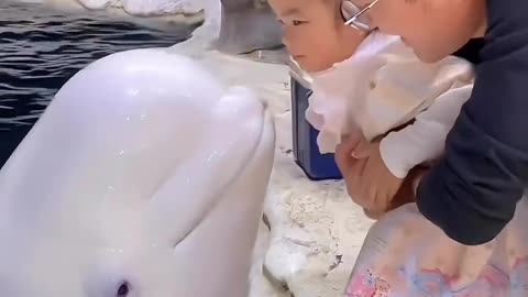 Cute baby with Dolphin | Dolphin playing | Cute baby and Dolphin, Cutest Animals On Earth