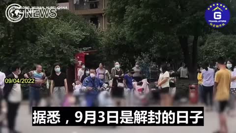 Chinese police suppressing protests in Wuhan that demand the lifting of lockdown restrictions