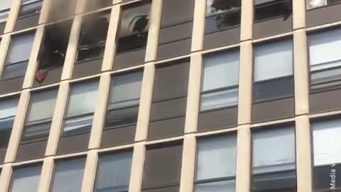 Cat Survives Jump From 5th Floor of