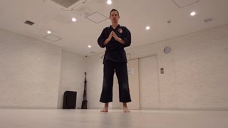 Taikyoku Shodan Basic Overview