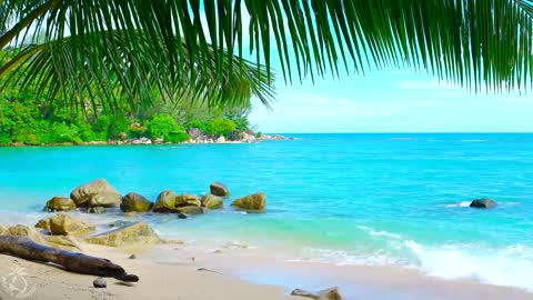 Tropical Beach Ambience on a Island with Ocean Sounds For Relaxation
