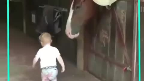 This kid loves to kiss all the horses | this is owesome