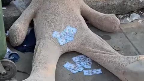 El oso 🐻 millonario 💰 part2 #viral #tendencias