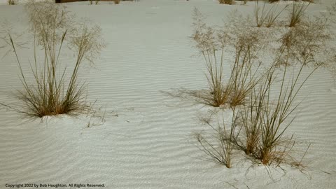 White Sands National Monument - White Sand Patch with Grass Blowing in Wind #9 (Building in Margin)