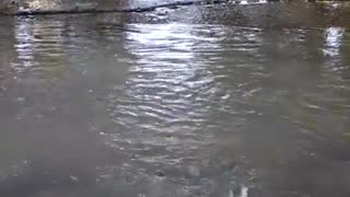 Water main break on Mayfair