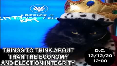 An Important Message from the Kitty Kat Elect
