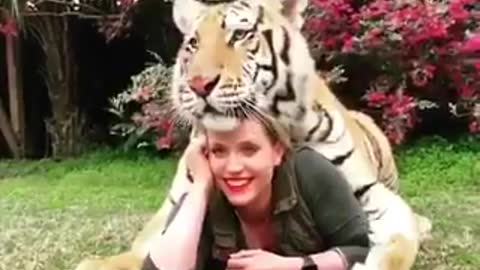 She is so chilled, considering THE TIGER