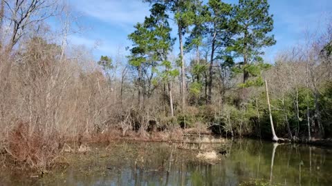 Northside Lake Conroe