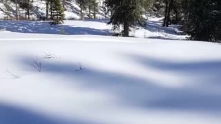 Red pants snowmobile stuck faceplant